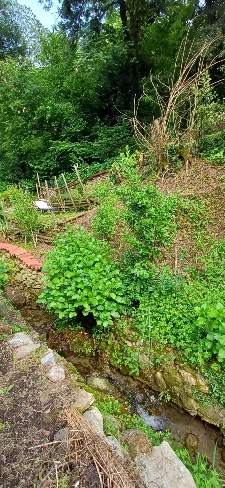 La Casetta Nel Verde Como Dış mekan fotoğraf